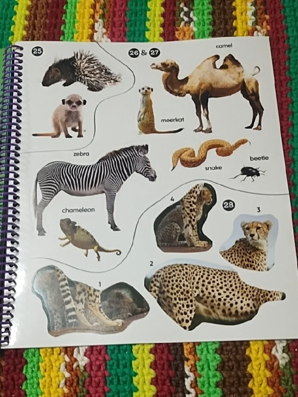 Safari Animals Sticker-by-Number Activity Book - Orange New. Age 3 And Up.